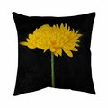 Begin Home Decor 20 x 20 in. Chrysanthemum-Double Sided Print Indoor Pillow 5541-2020-FL110